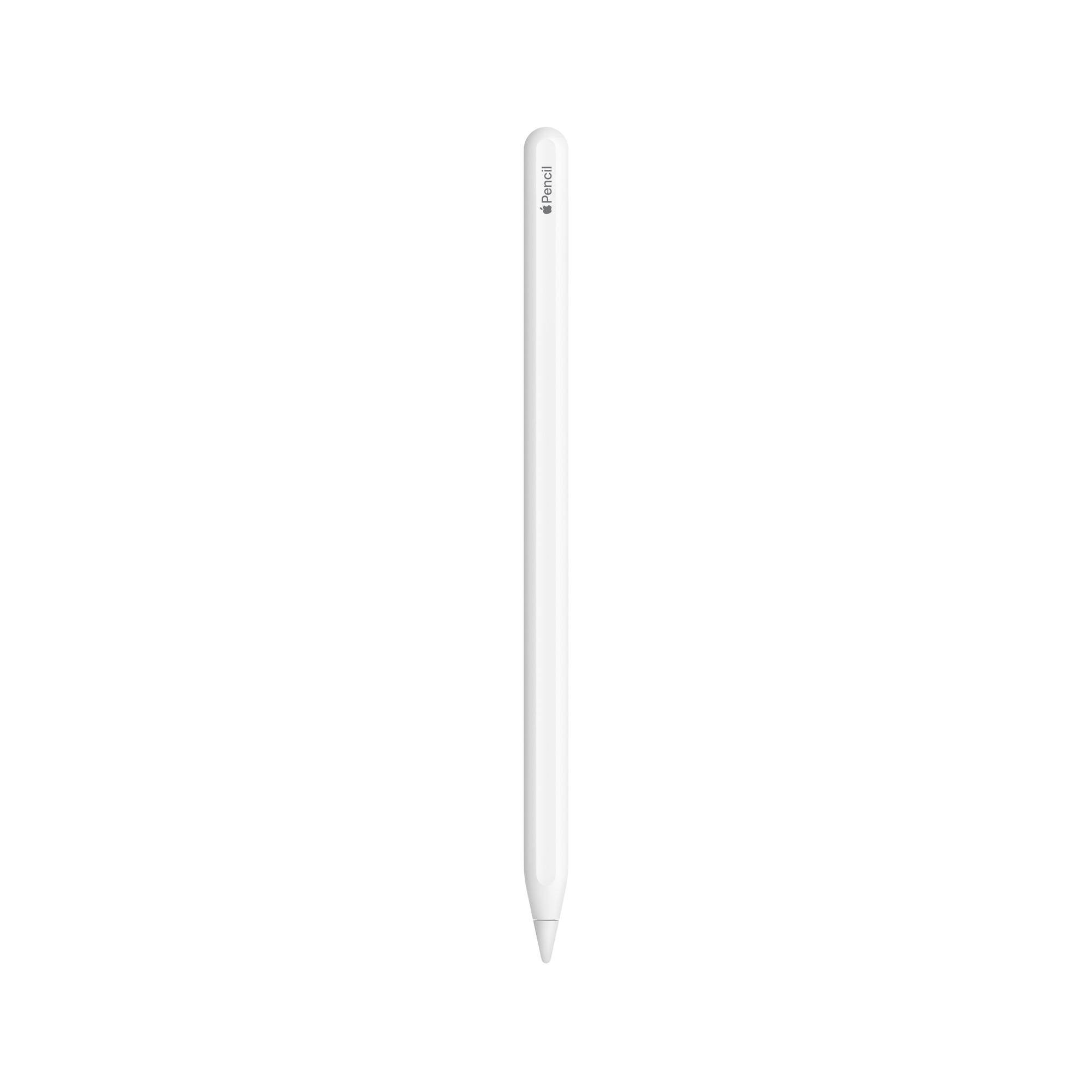 Apple Pencil (USB-C) NEU