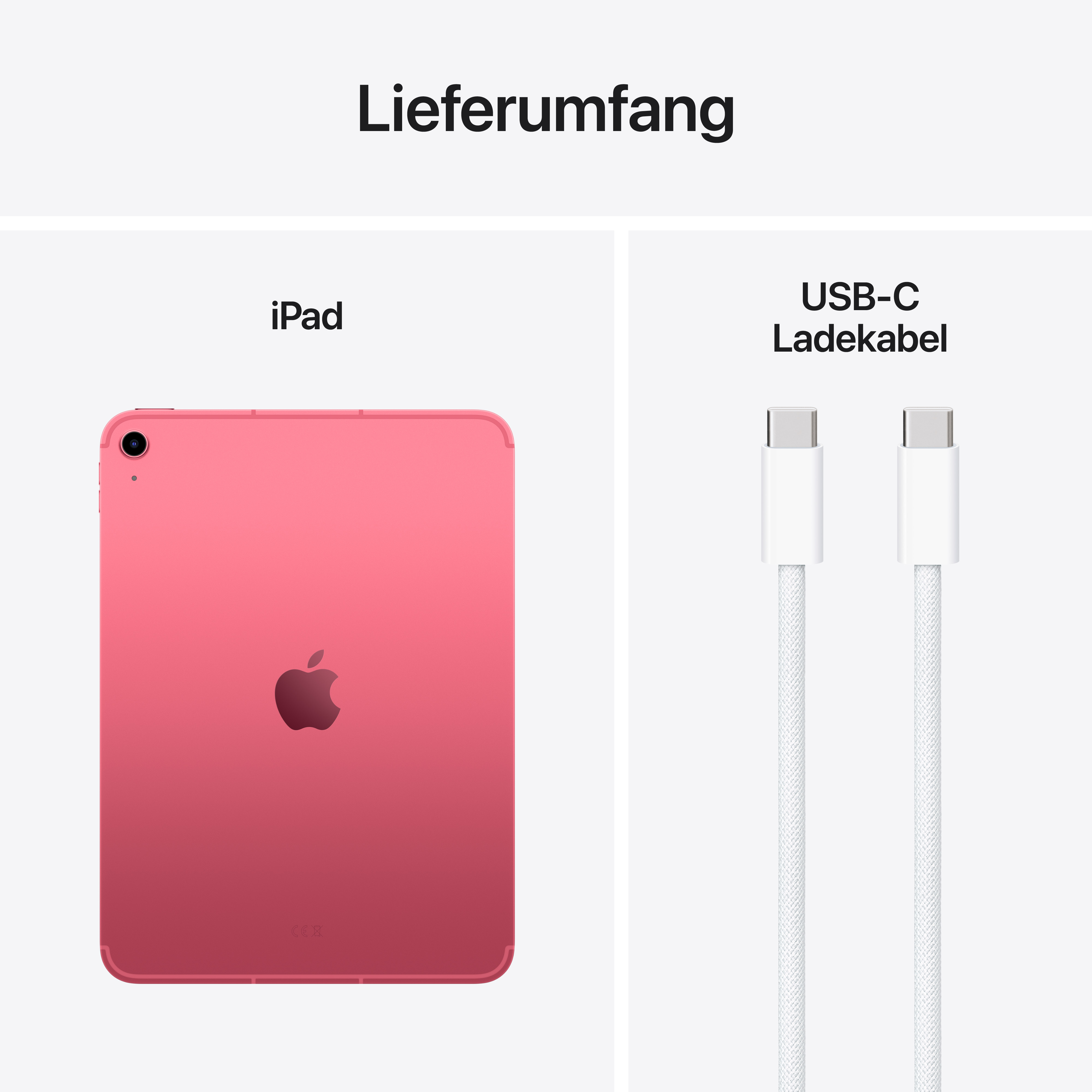 Apple iPad 11" Wi-Fi + Cellular 128GB - Pink (11. Gen)