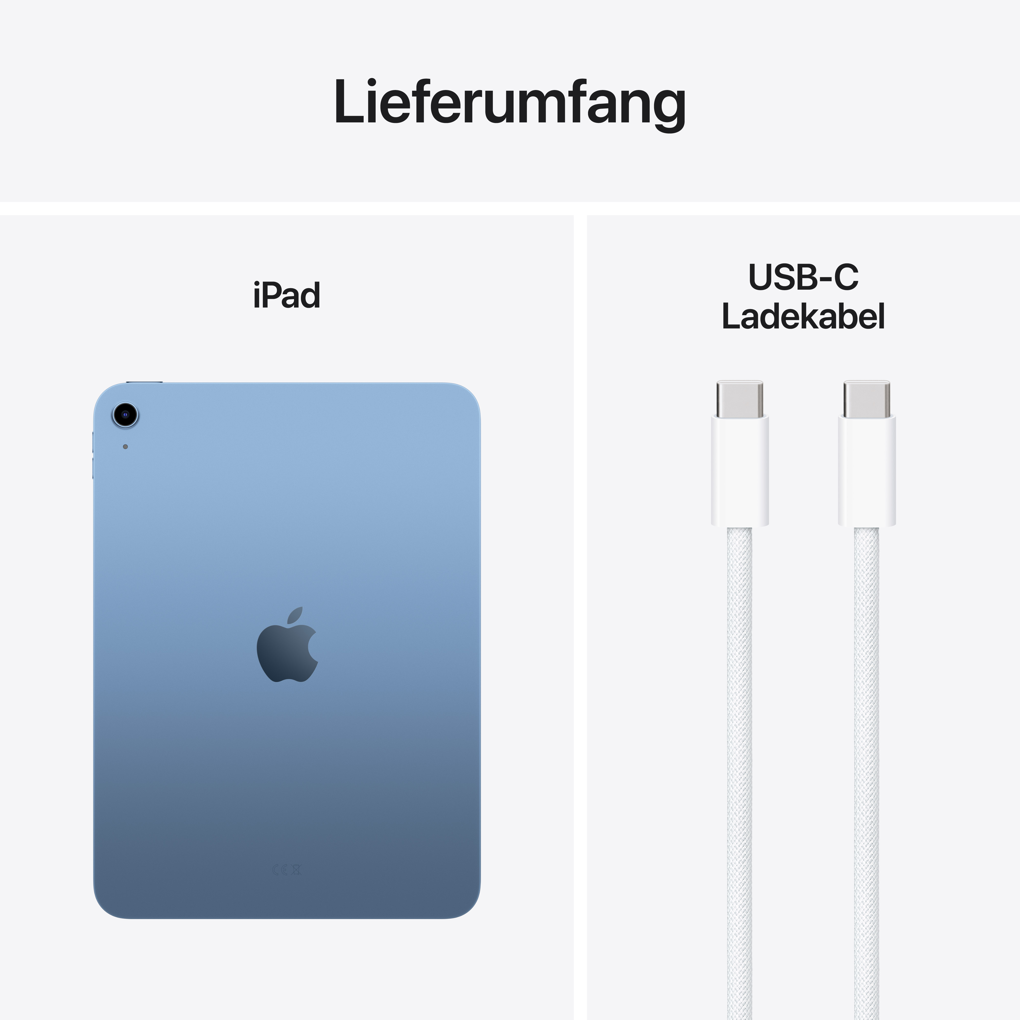Apple iPad 11" Wi-Fi 128GB - Blau / Blue (11. Gen)