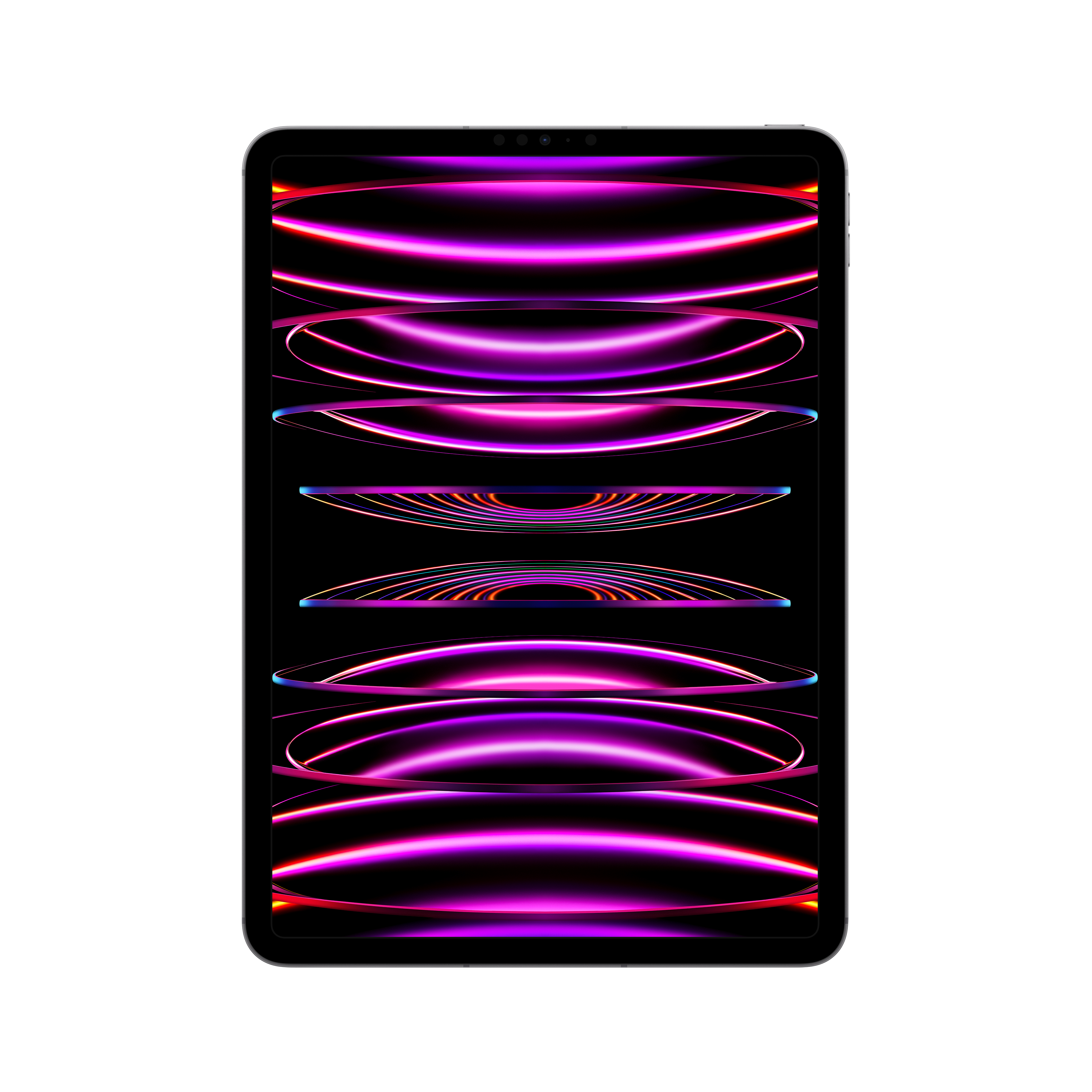 Apple iPad Pro 11" Wi-Fi + Cellular 256GB - Space Grau (4.Gen)