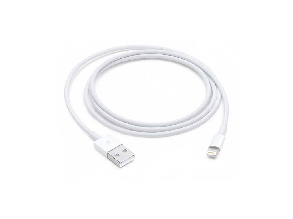 Apple Lightning auf USB Kabel (1m)