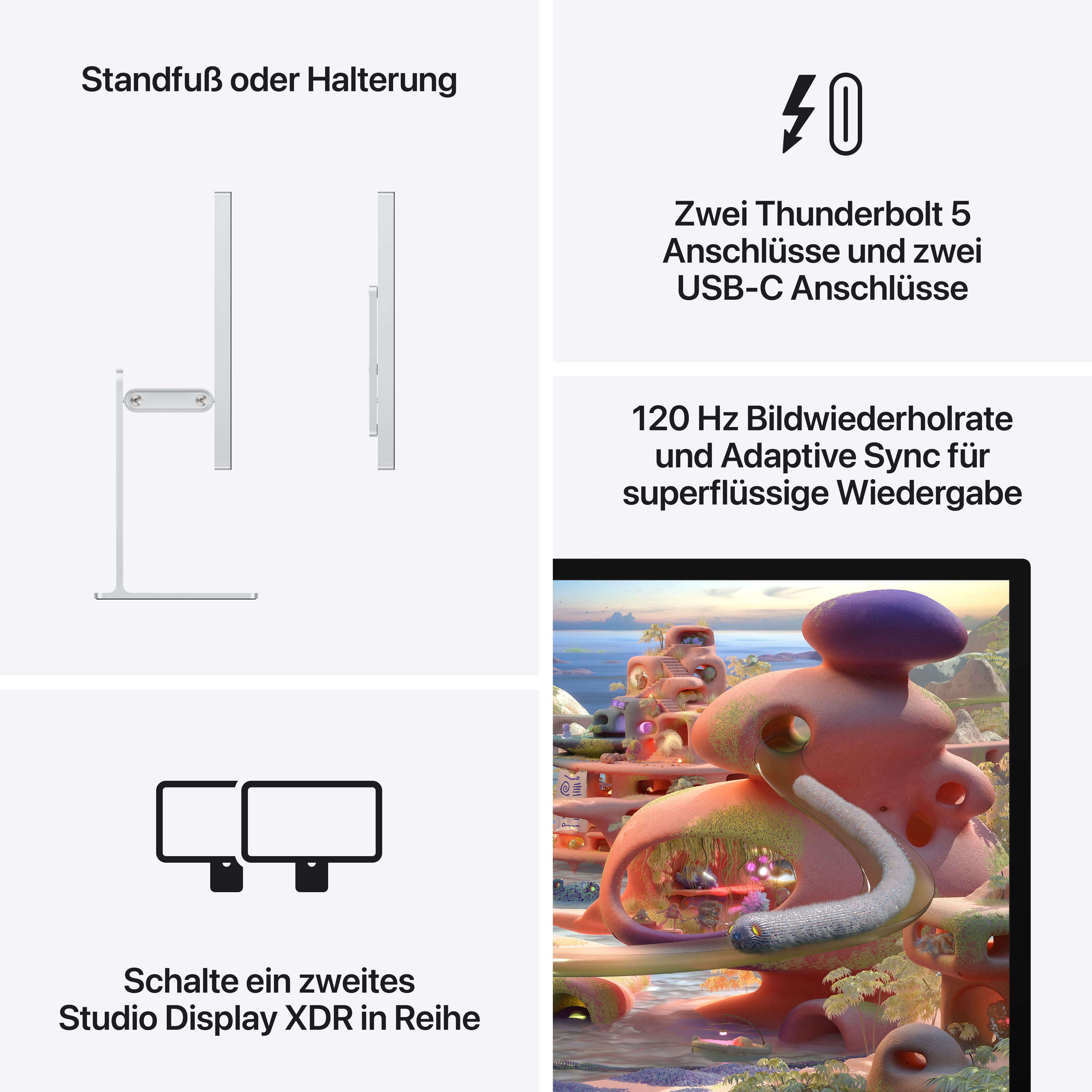 Studio Display XDR -  Nanotexturglas -  VESA Mount Adapter